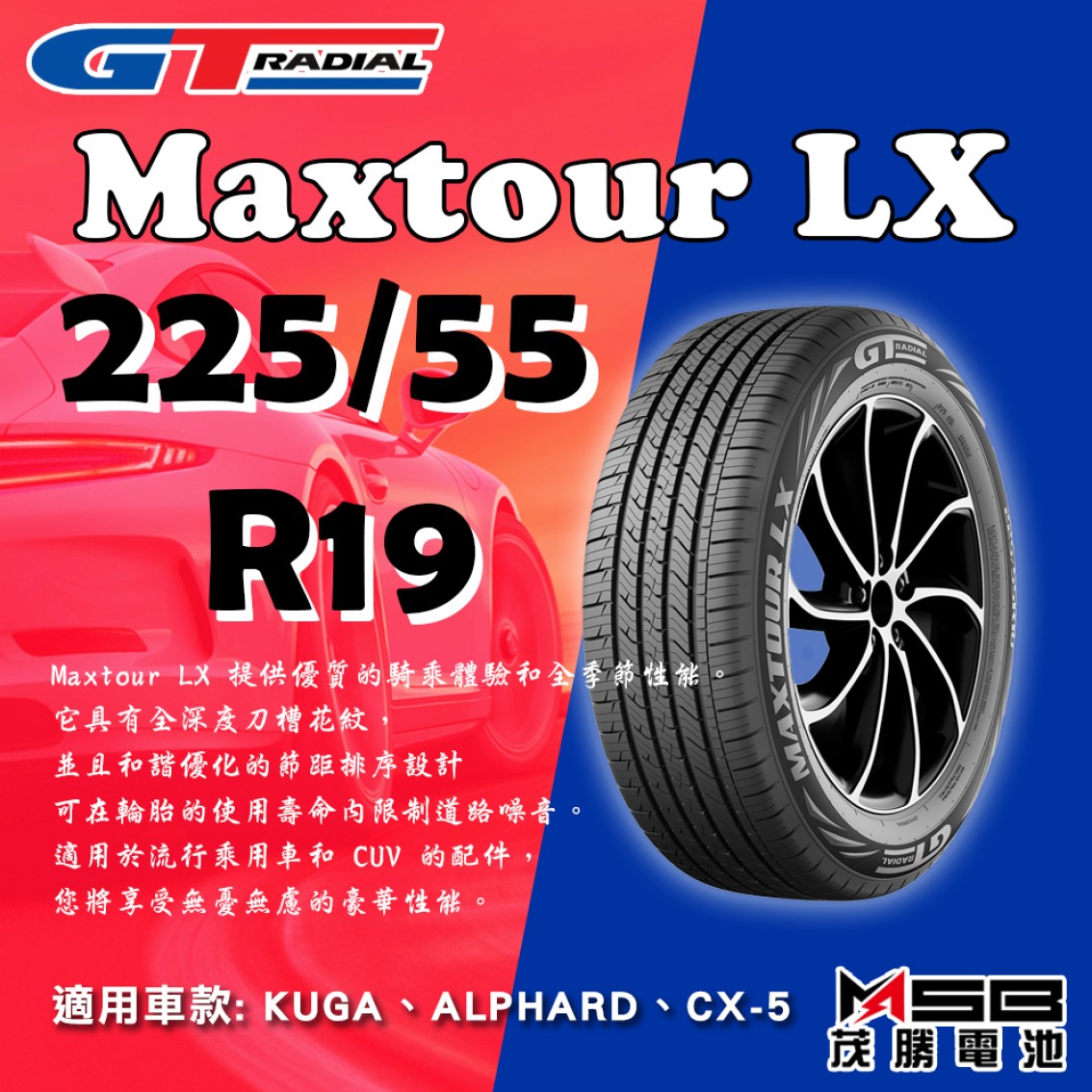 225/55 R19